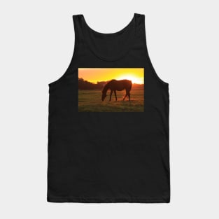 Horse at dawn Tank Top